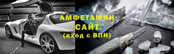 шишки Арсеньев