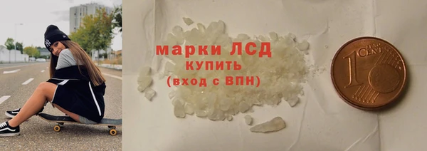 шишки Арсеньев