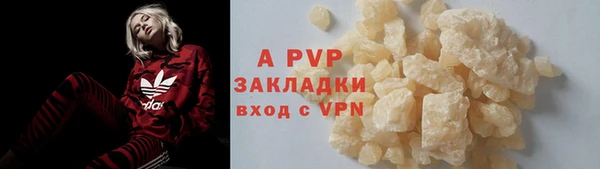 шишки Арсеньев