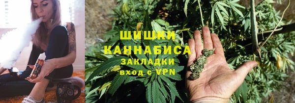 шишки Арсеньев
