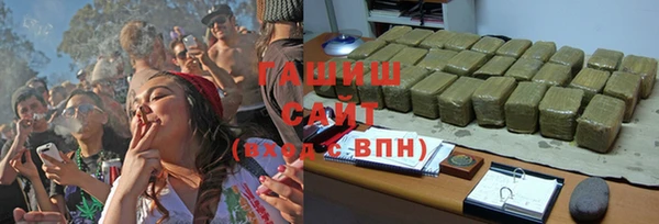 шишки Арсеньев
