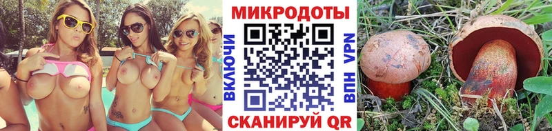 даркнет сайт  Слюдянка  Псилоцибиновые грибы прущие грибы 