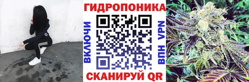 что такое   Слюдянка  Бошки Шишки MAZAR 